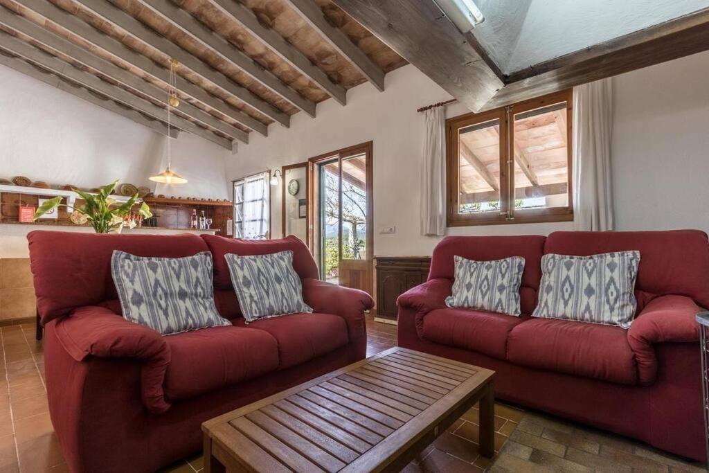 Catalina Petit By Renthousing * Port de Pollença